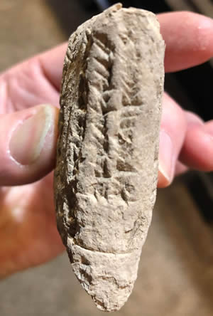 1400-1200 BC Cuneiform Tablet of Kassite or Persian with inscription text on side of tablet