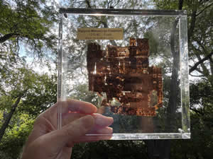 1200 BC Papyrus Egyptian Hieratic script in black ink with sun shinning through the papyrus