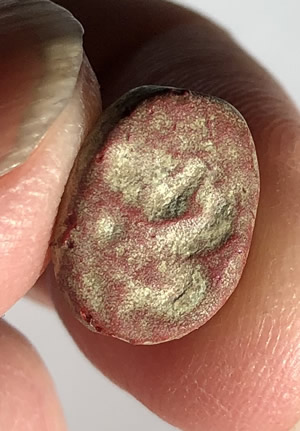 500 BC Red Stone Phoenician Seal with Engraved Side