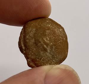 50 BC Clay Bulla with Head of Male facing left