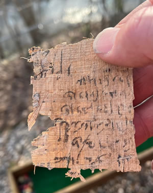 Papyrus fragment, Papyrus from the general time period of the Greeks and Hasmoneans 200 BC