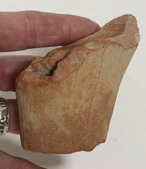 Amphora Base picked up in ruins of Beth Shean 