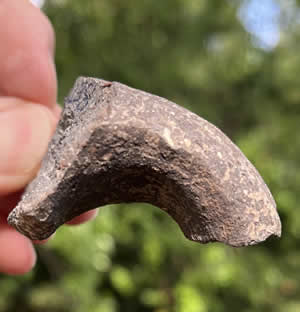 Basalt Stone Jar Handle picked up in Beth Shean ruins