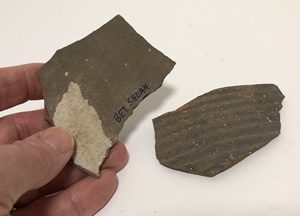 Beth Shean Potsherd back inside