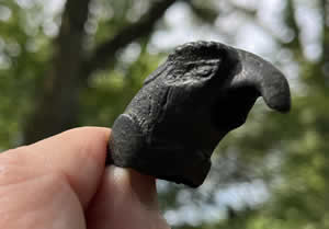 20-120 AD Roman Bronze Eagle Head for Staff Handle