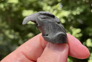 20-120 AD Roman Bronze Eagle Head for Staff Handle