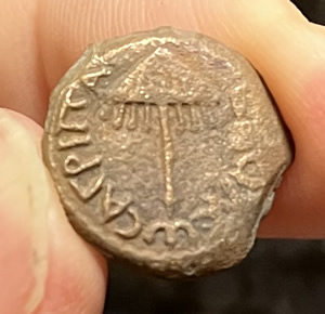 41 AD King Herod Agrippa I - obverse, umbrella