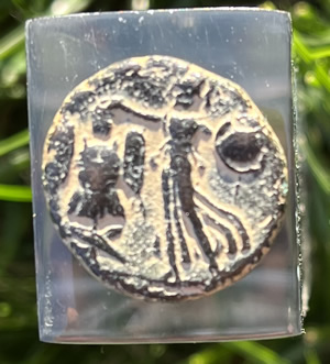 83 AD Domitian Judaea Capta minted in Caesarea reverse with Minerva Athena stepping left in flowing gown holds trophy in right hand and shield and spear in left