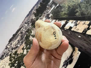 100 BC-100 AD Roman Oil Lamp bottom side 