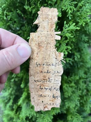 Papyrus from the general time the New Testament was being written and similar to what the NT letters were written on.