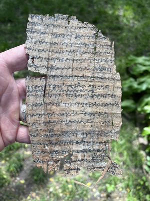 Papyrus from the general time the New Testament was being written and similar to what the NT letters were written on.