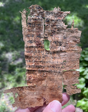 Papyrus from the general time the New Testament was being written and similar to what the NT letters were written on.