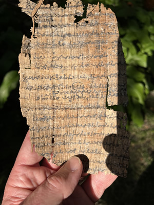 Papyrus from the general time the New Testament was being written and similar to what the NT letters were written on.