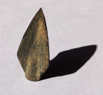 Persian Arrowhead