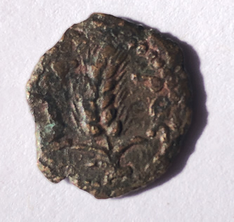 Reverse side of a "widow's mite" showing a barley ear