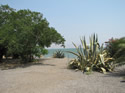 view of the Sea of Galilee from Capernaum